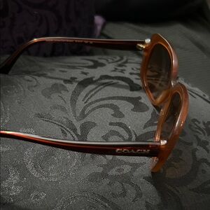 Coach Brown Sunglasses
